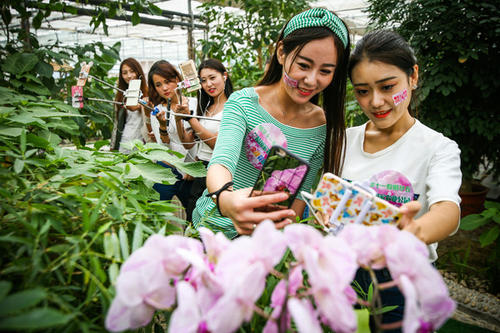 淘宝卖家直播怎么做？如何做好直播推广？