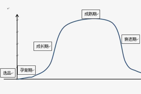 爆款的生命周期主要是哪4个阶段？爆款生命周期是一样的吗？