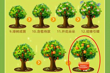 支付宝种果树得水果需要多长时间？种果树的攻略有哪些？