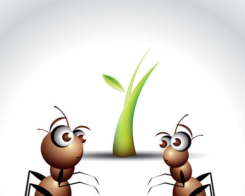蚂蚁会员积分如何赚取？有哪些方式？