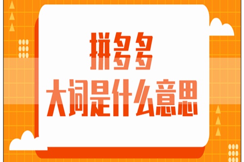 拼多多明星店铺品牌词包投放攻略一步一步教你如何操作！(拼多多明星店铺推广有什么用)