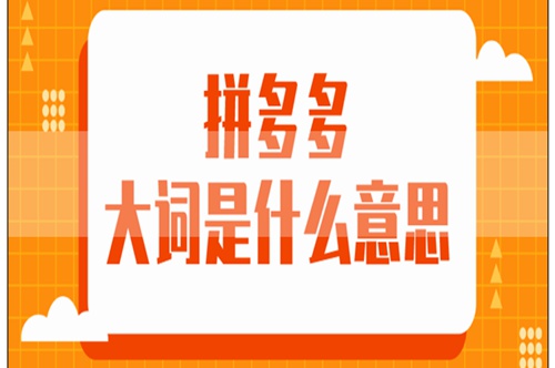 拼多多明星店铺品牌词包投放攻略一步一步教你如何操作！(拼多多明星店铺推广有什么用)